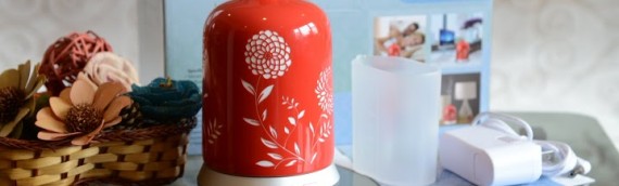 Important Features to Look for in Quality Ceramic Oil Diffusers